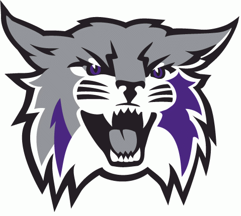 Weber State Wildcats 2012-Pres Primary Logo iron on transfers for T-shirts